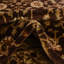 Tapis oriental brun Rosaria-488782177