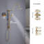 Système de douche à pluie multifonction Rainlex-82851307