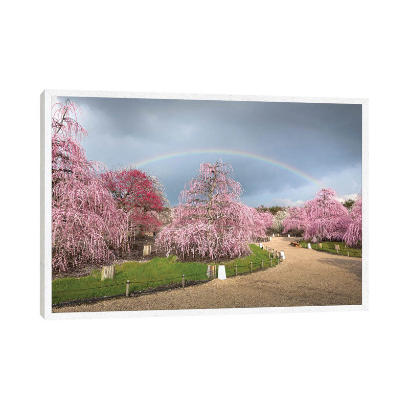 Spring In Japan XIX by Daisuke Uematsu - Print on Canvas, White Framed, 66.04cm H x 101.6cm W x 3.81cm D
