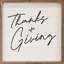 Thanks And Giving White-307537542