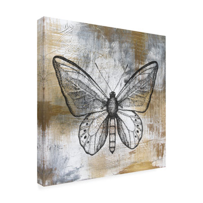 " Gold And Gray Textures Butterfly A3 " by Jean Plout
