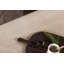 Jayden-Mckenzie 128cm Long Single Chaise with Cushions