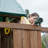 Altamont Swing Set