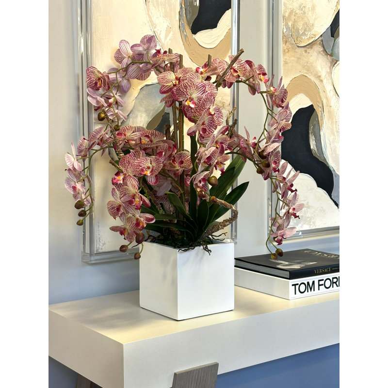 Pink Orchids Arranges in Square Fiberstone Planter