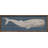 Whale Moby Dick-284390008