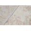 Wool Oriental Area Rug in Beige