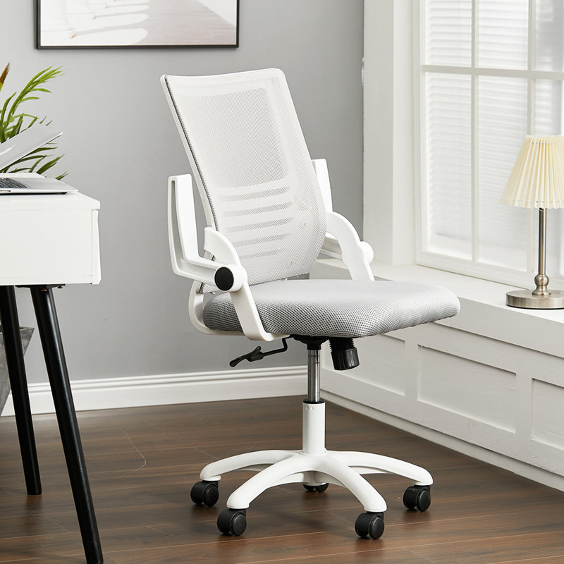 Wade Logan Raghi Office Chair, Grey, White