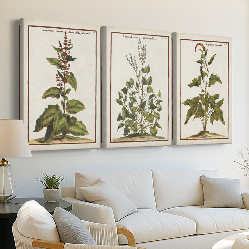 Munting Botanicals IV - Toile tendue avec châssis sur mesure - 3 pièces, H 27 po x l 54 po