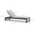 Pawni Teak Outdoor Chaise Lounge-397257007