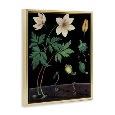 Sprouting Wildflower Illustrations Floating Frame, design by Vintage Hustle