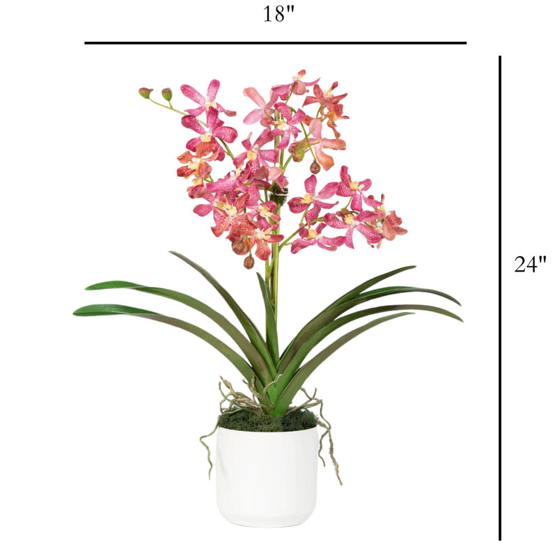 Polysilk Orchid Arrangement In Pot, White, Pink