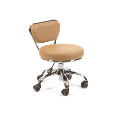 Dayton Backed Adjustable Height Ergonomic Lab Stool with Wheels