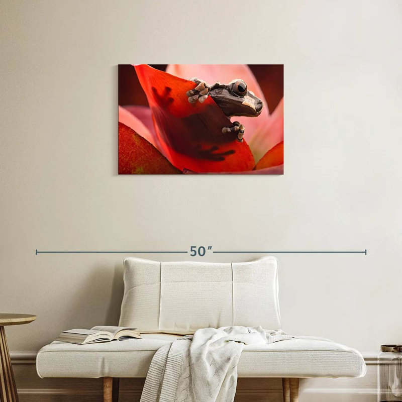 Brampt Amazon Tree Frog, 20" H x 30" W