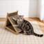 Scratching Post