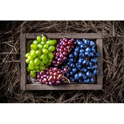 Grapes by Bojsha65 - Wrapped Canvas Print