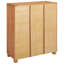 Engineered Wood Rectangle Accent Cabinet