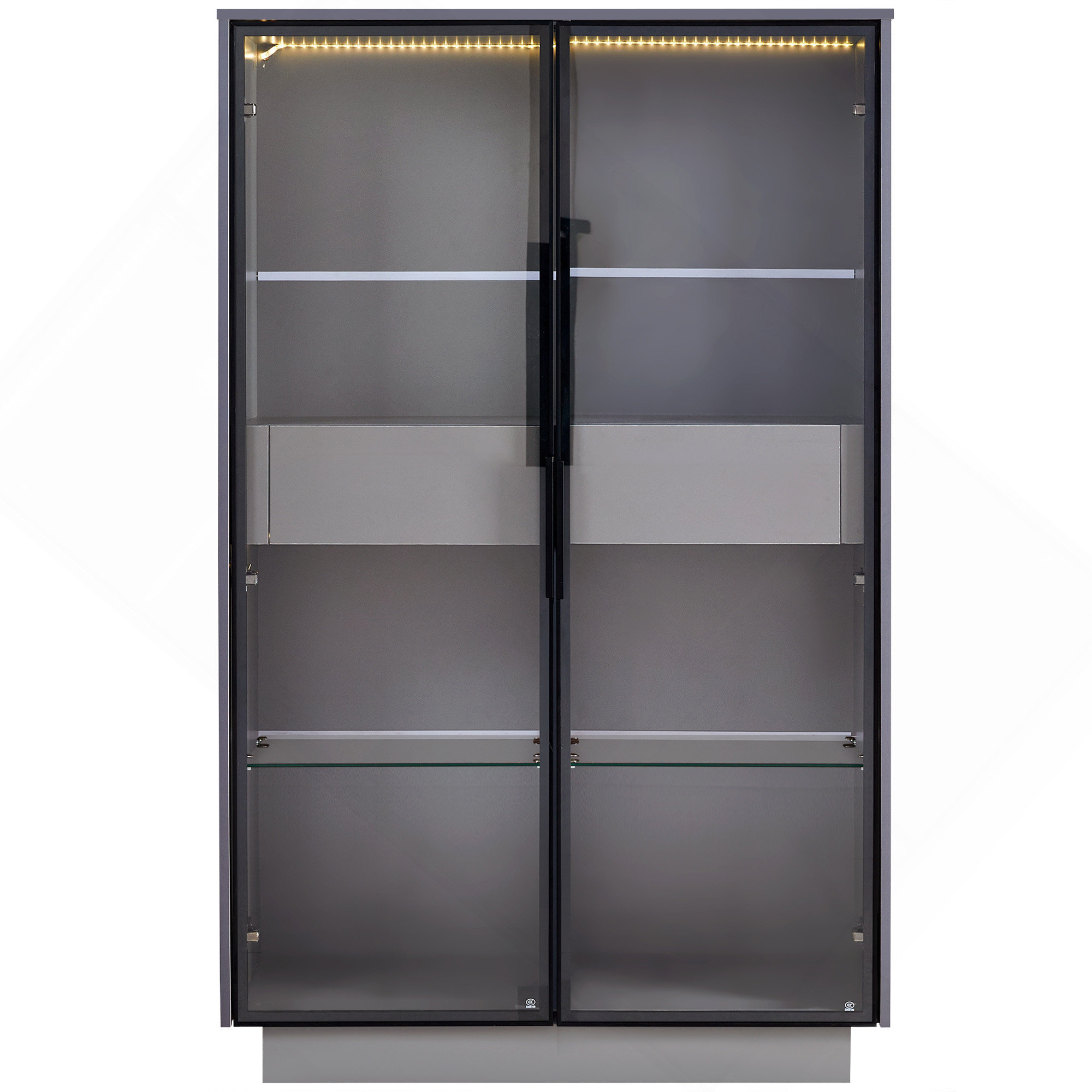 Ivy Bronx Modern Multi-Functional Display Cabinet With Advanced ...