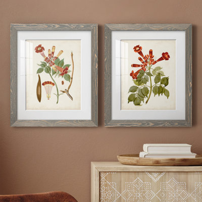 «Vintage Flowering Trees V», ensemble de 2 reproductions d'art sur papier encadrées
