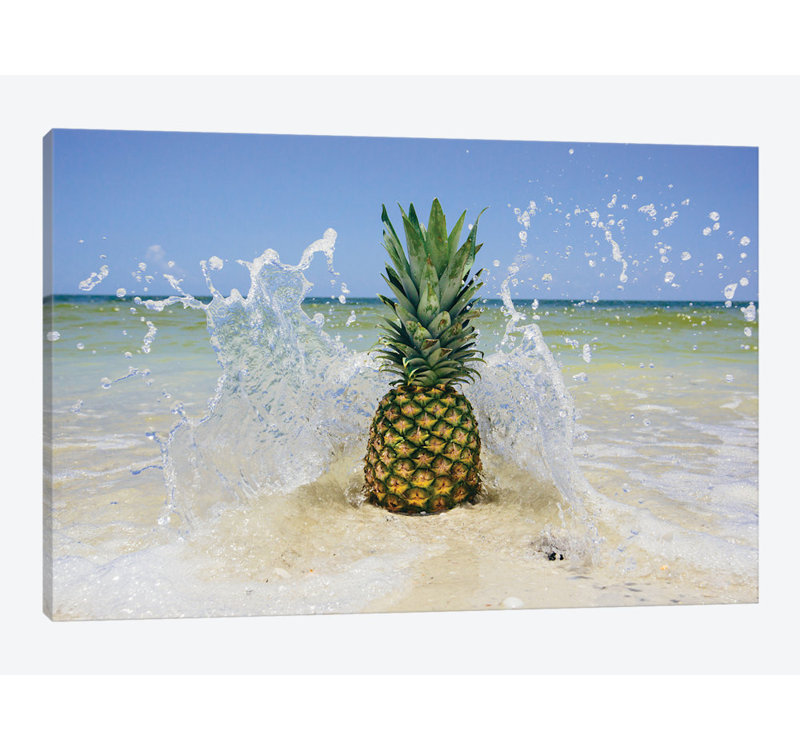 « south floride ananas iii », reproduction de photo sur toile, H 24 po x l 32 po x P 1 po, Toile avec cadre noir, Blanc