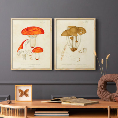 «Mushroom Variétés», reproduction encadrée de qualité supérieure - prête à être accrochée - aucun clou requis - aucun clou requis