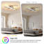 Flush Mount