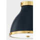 Painted No. 3 Flush Mount by Mark D. Sikes