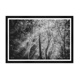 Crepuscular Rays Print by Tim Klein