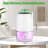 RAFOW 1 Pints Dehumidifier for Rooms up to 260 Cubic Feet