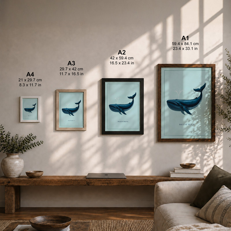Baleen Whale Modern - Framed Print, Unframed, A2 - 59.4 x 42.0 cm