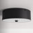 Aujanae Flush Mount-1707079515