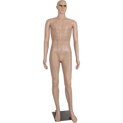 FDW Male Mannequin Full Body 73" H x 16" W x 12" D Dress Form