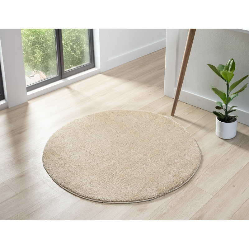 Taeler Washable Modern Living Room Rug Polyester Plain Indoor Area Rug with Low Pile - Anti-Slip Felt Backing SuperSoft Carpet Bedroom-Hallway, Light Beige