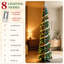 Fir Christmas Tree-99670389