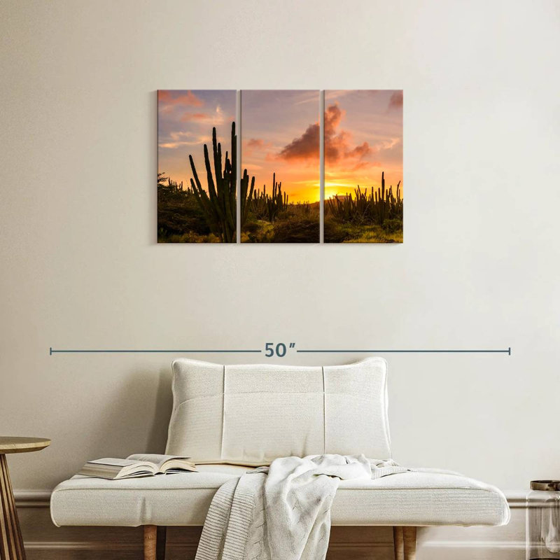Harnek cactus coucher de soleil, H 20 po x l 33 po