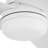 Purab 52'' Ceiling Fan with LED Lights-602551316