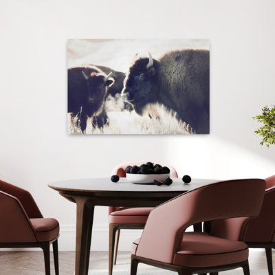 Bison, art mural contemporain abstrait