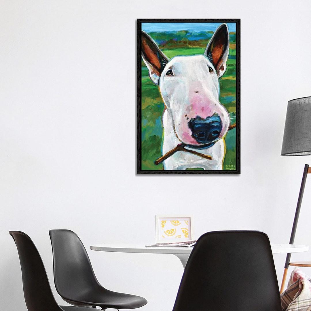 Bullterrier mit Stock