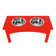 Cozell Double Elevated Feeder