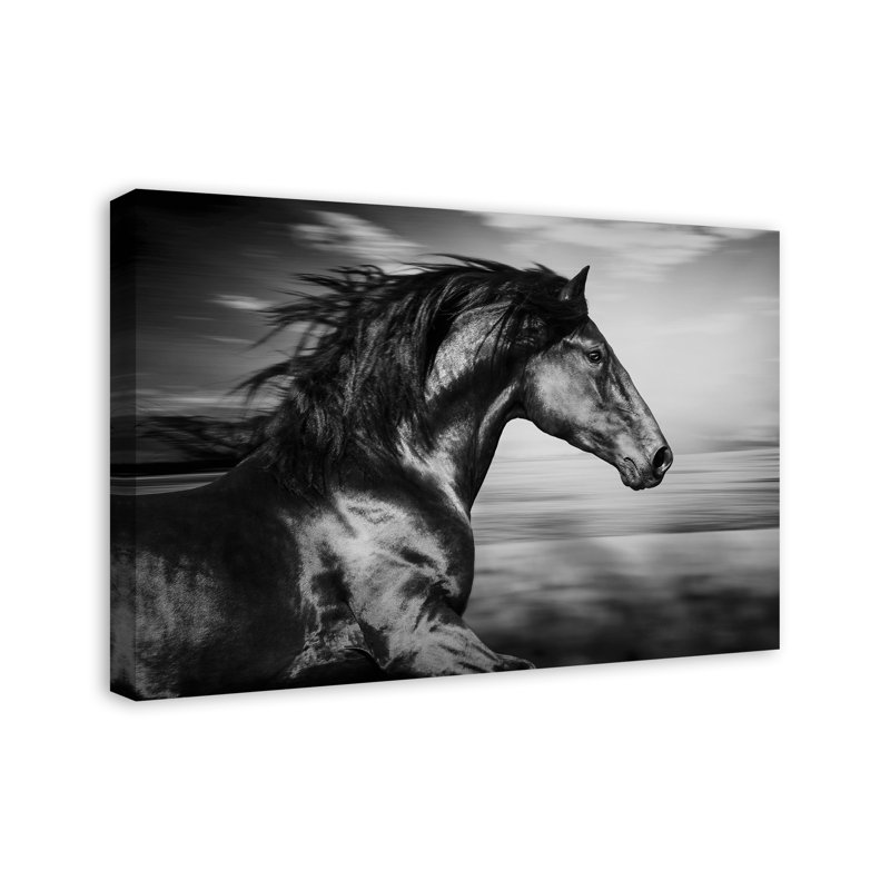 Reproduction de photo sur toile tendue cheval