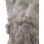 Bust