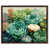Walnut Frame