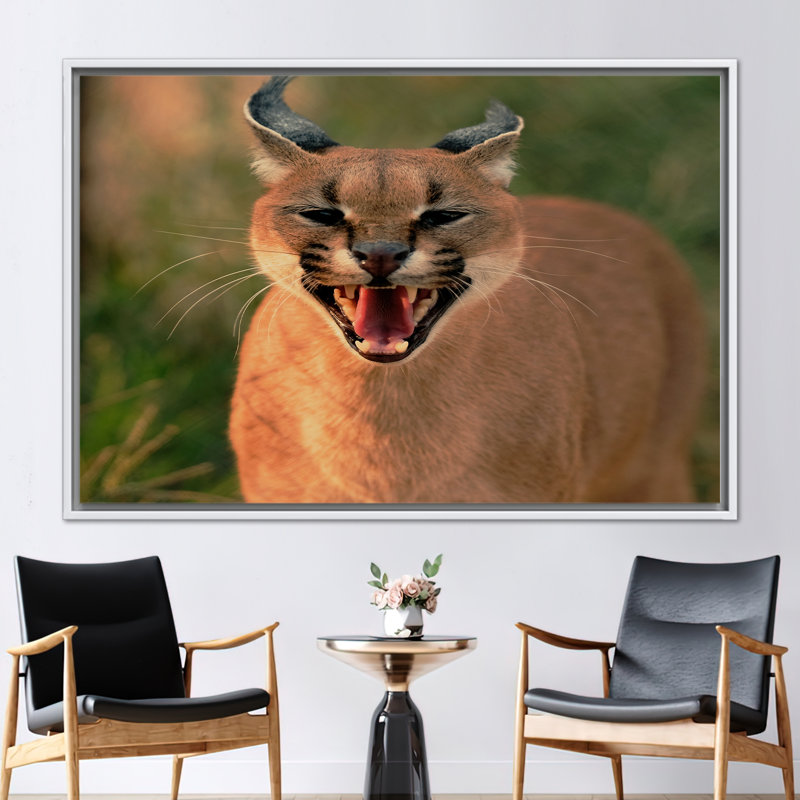 Print on Canvas, 80 cm H x 110 cm W, Framed Print without Mat, White