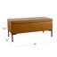 Chandrell Faux Leather Upholstered Storage Bench
