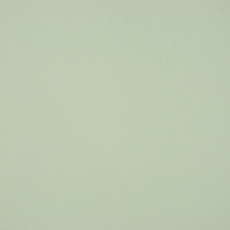 Tissu, Menthe