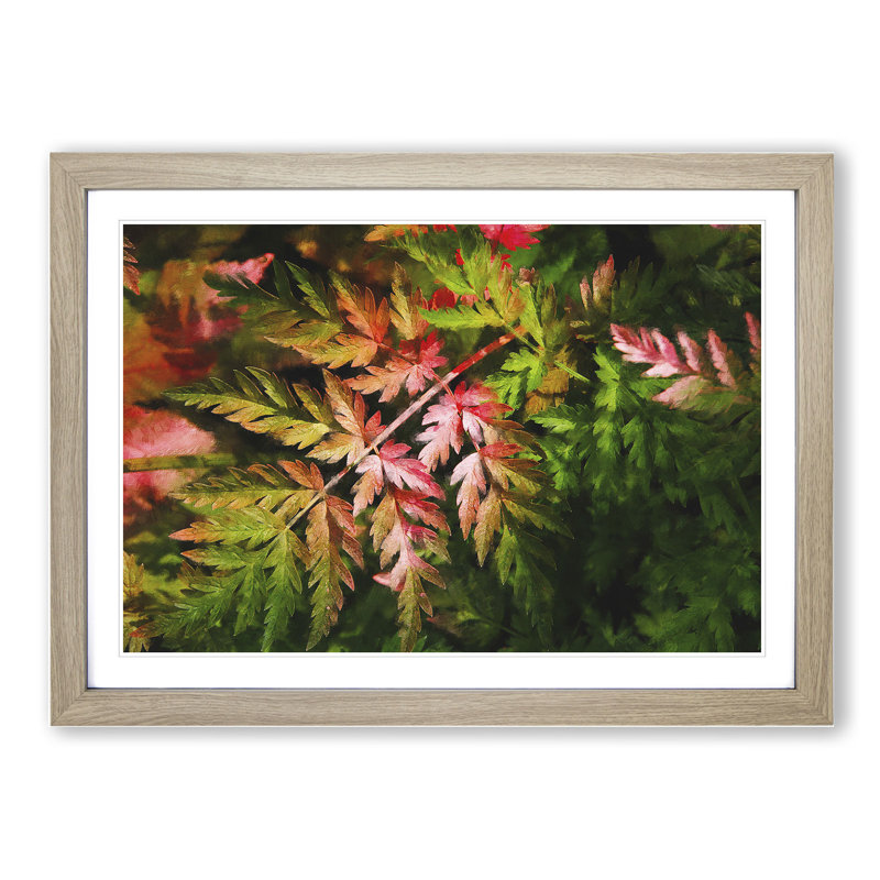 Fern Leaves Vol.2 - Framed Print, Oak Framed, 27cm H x 36cm W x 2cm D