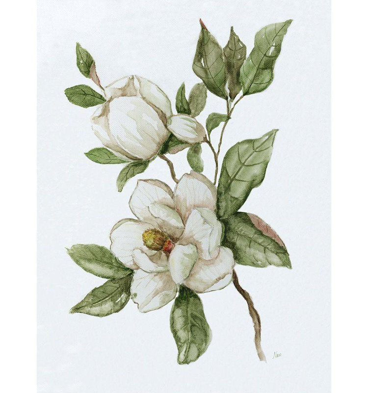 Art sur toile tendue Lark Manor ™ Nan: Magnolia Morning II, H 18 po x l 15 po