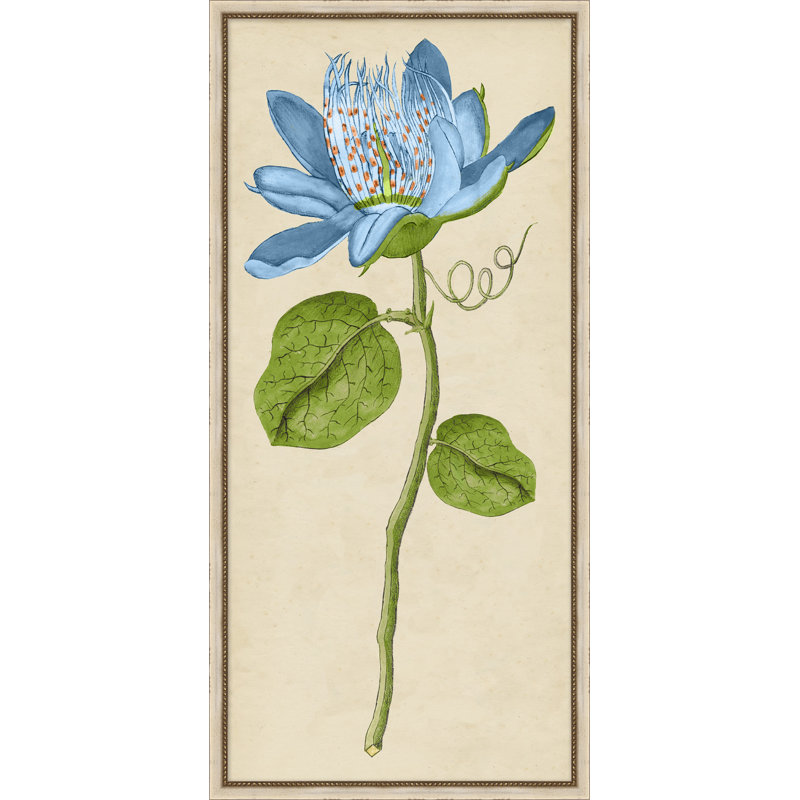 Gravure florale rétro 6 - peinture encadrée
