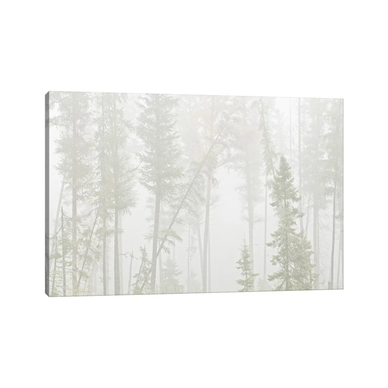 Canada, Ontario, Ear Falls. Forest In Fog by Jaynes Gallery - Wrapped Canvas Print, 45.72cm H x 66.04cm W x 1.905cm D
