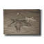 «Starfish II» par Debra Van Swearingen, art mural sur toile-1370577030