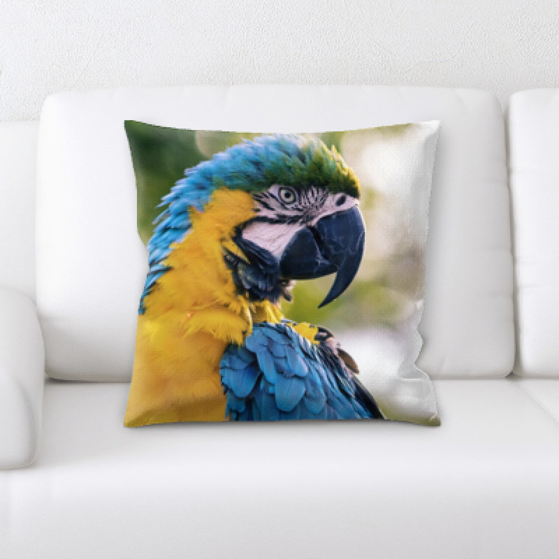 Coussin oiseau